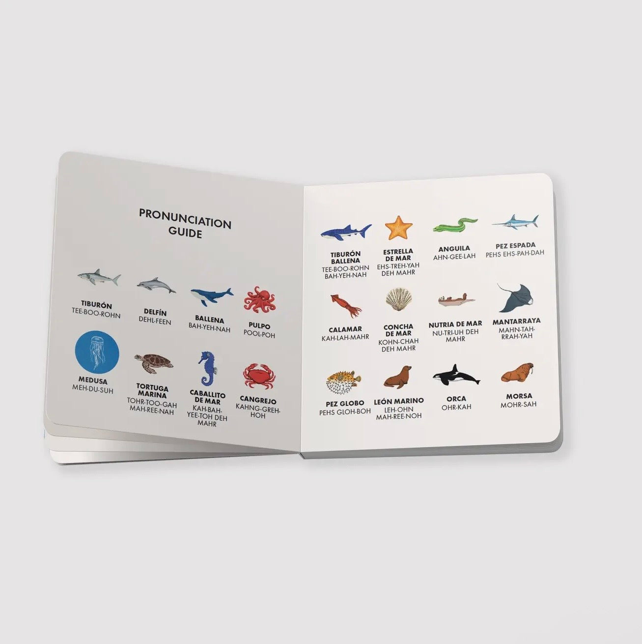 My First Bilingual Library: A Spanish-English Board Book Set
