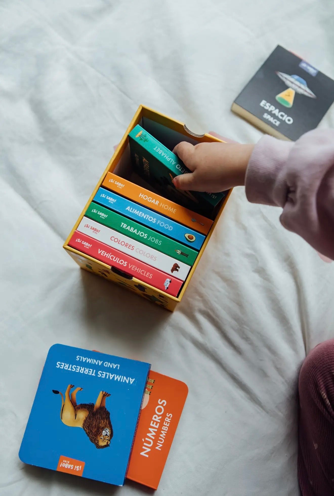 My First Bilingual Library: A Spanish-English Board Book Set