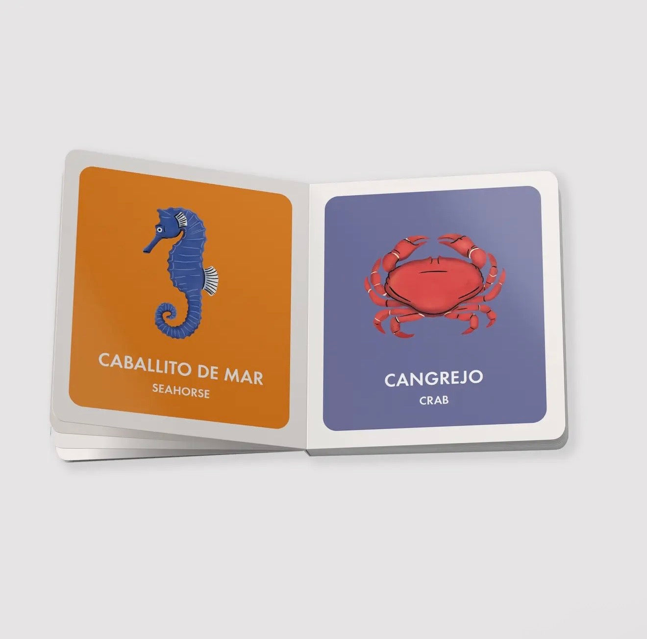 My First Bilingual Library: A Spanish-English Board Book Set