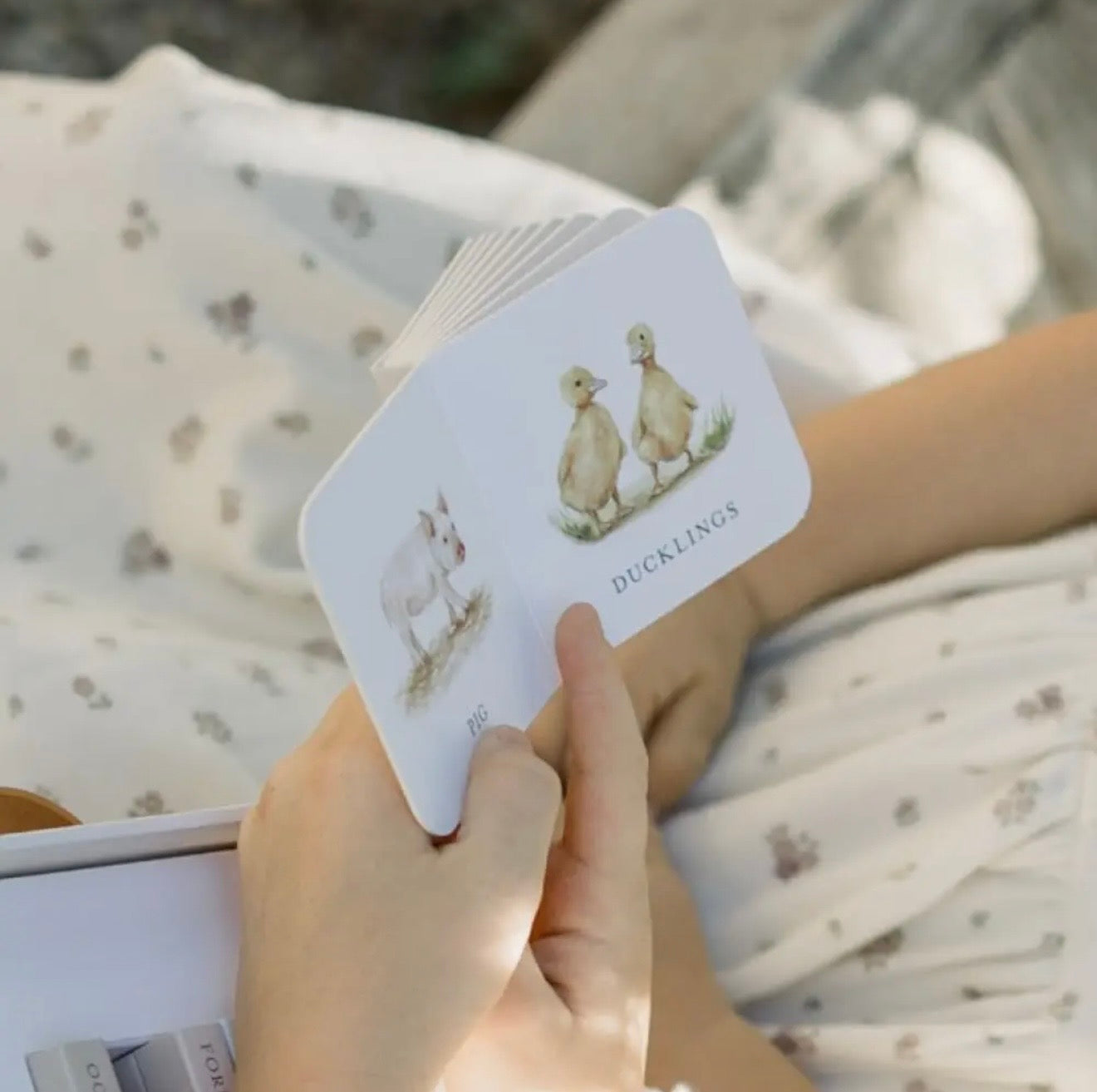 My First Bilingual Library: A Spanish-English Board Book Set