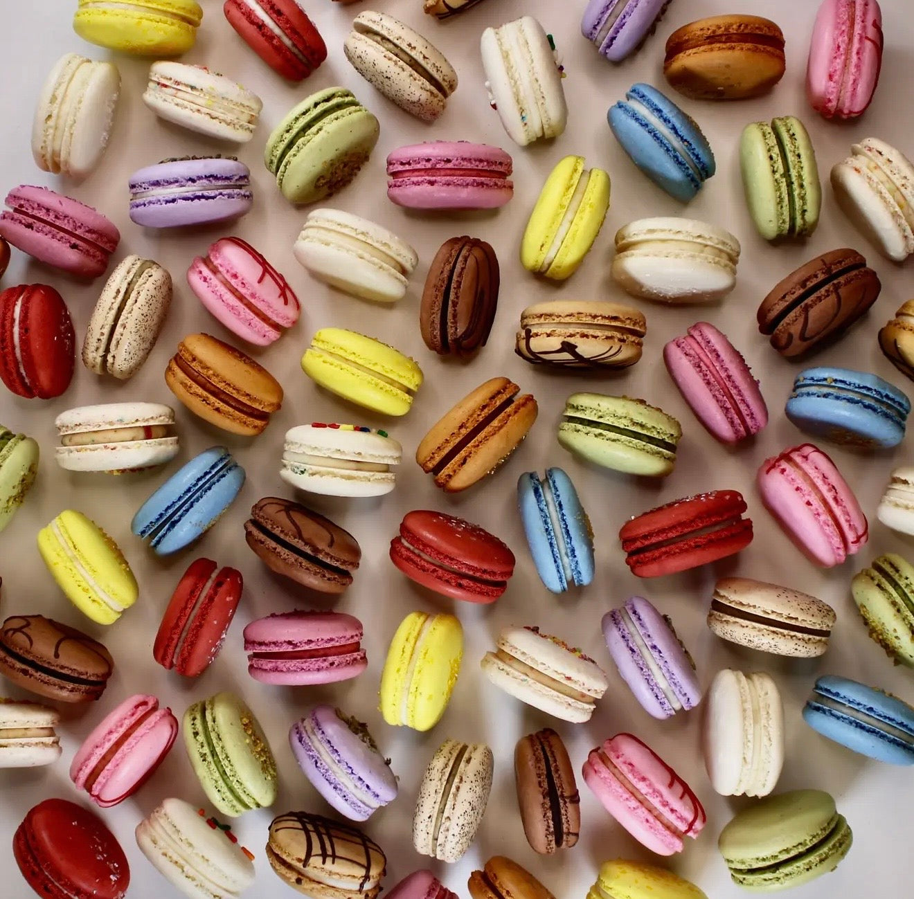 One of Everything Macaron Collection